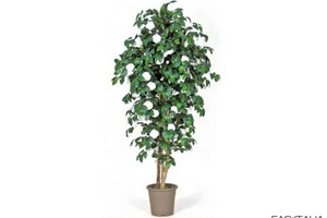 Camelia artificiale con fiori bianchi cm 125 Camelia artificiale con fiori bianchi cm 125